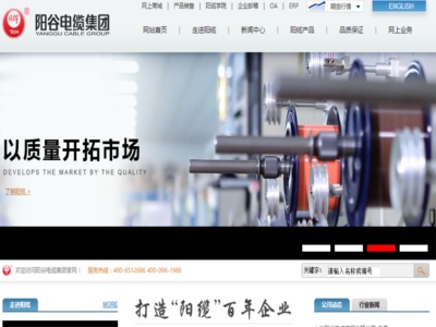 山東陽穀（gǔ）電纜集團有限公司