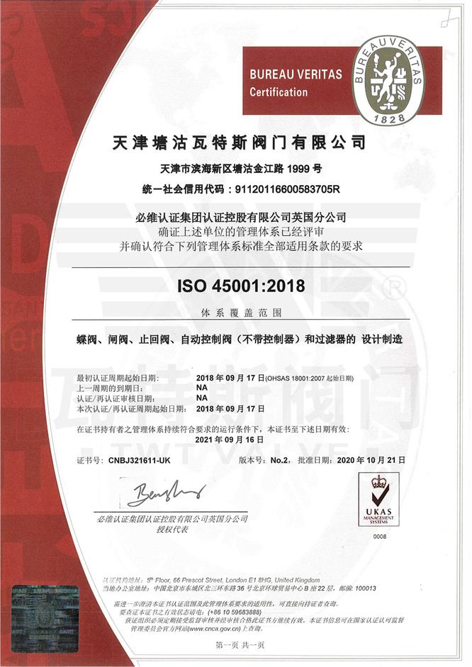 ISO-45001必維認證中（zhōng）文